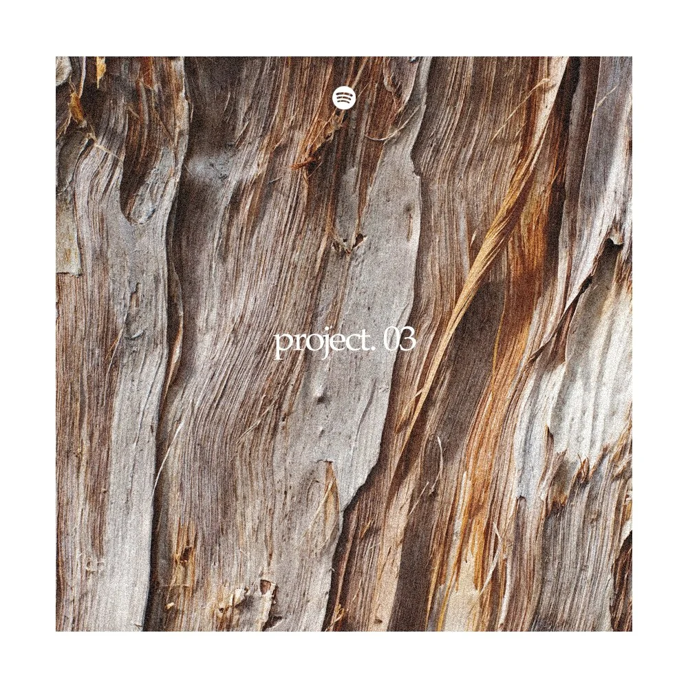 IN THE LAB / PROJECT 3