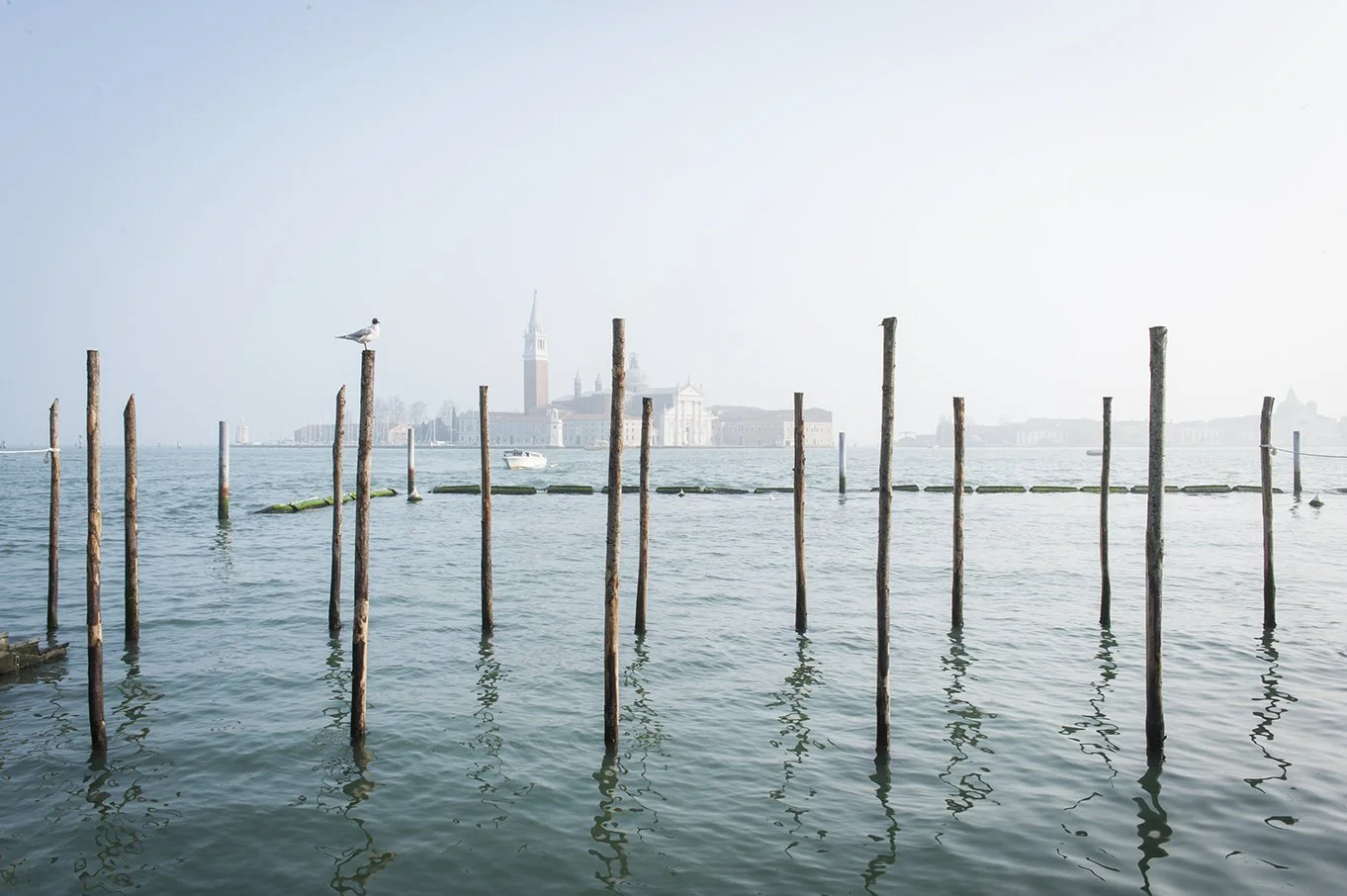 Venice04.jpg