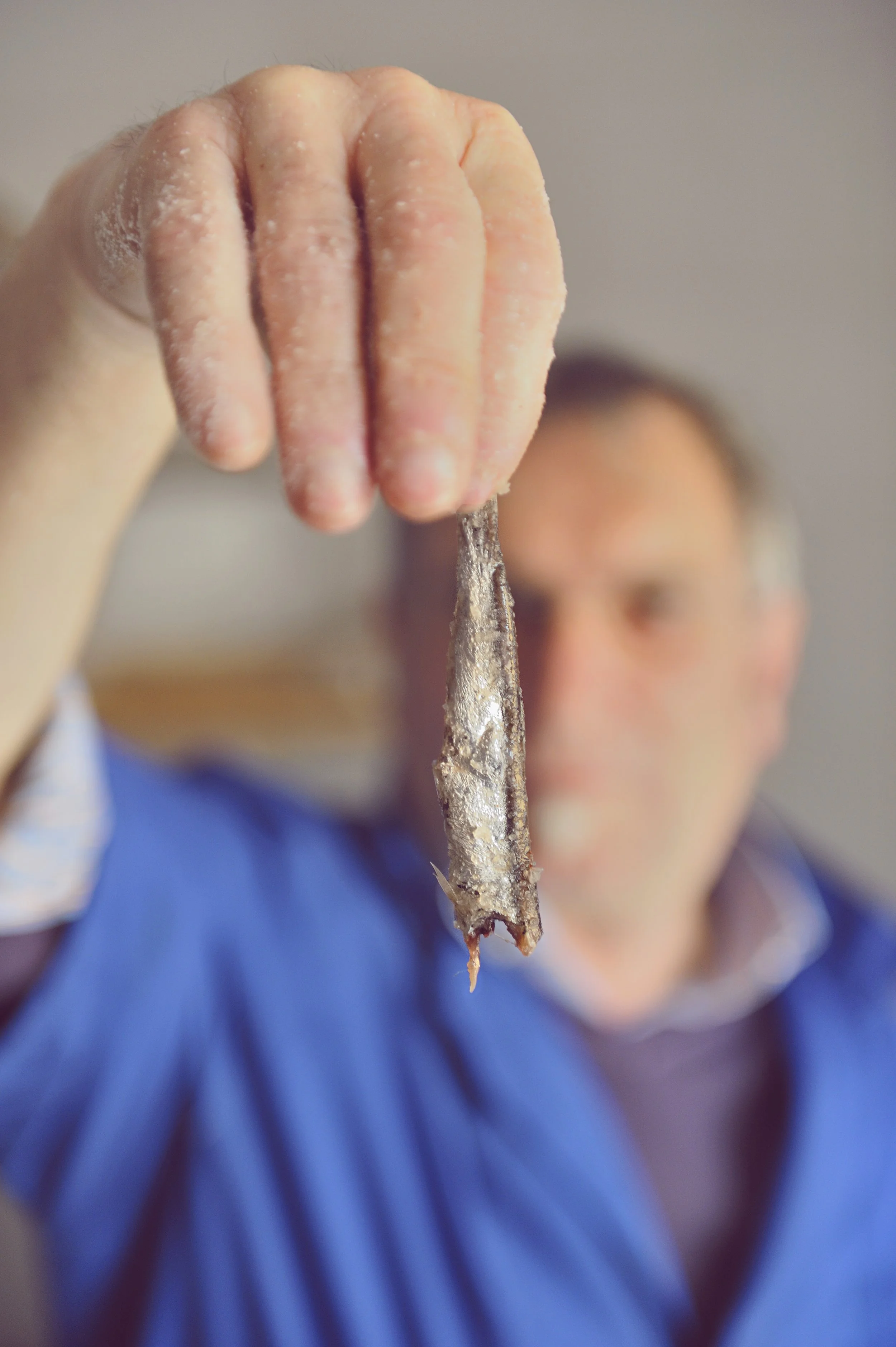 ANCHOVIES14.JPG