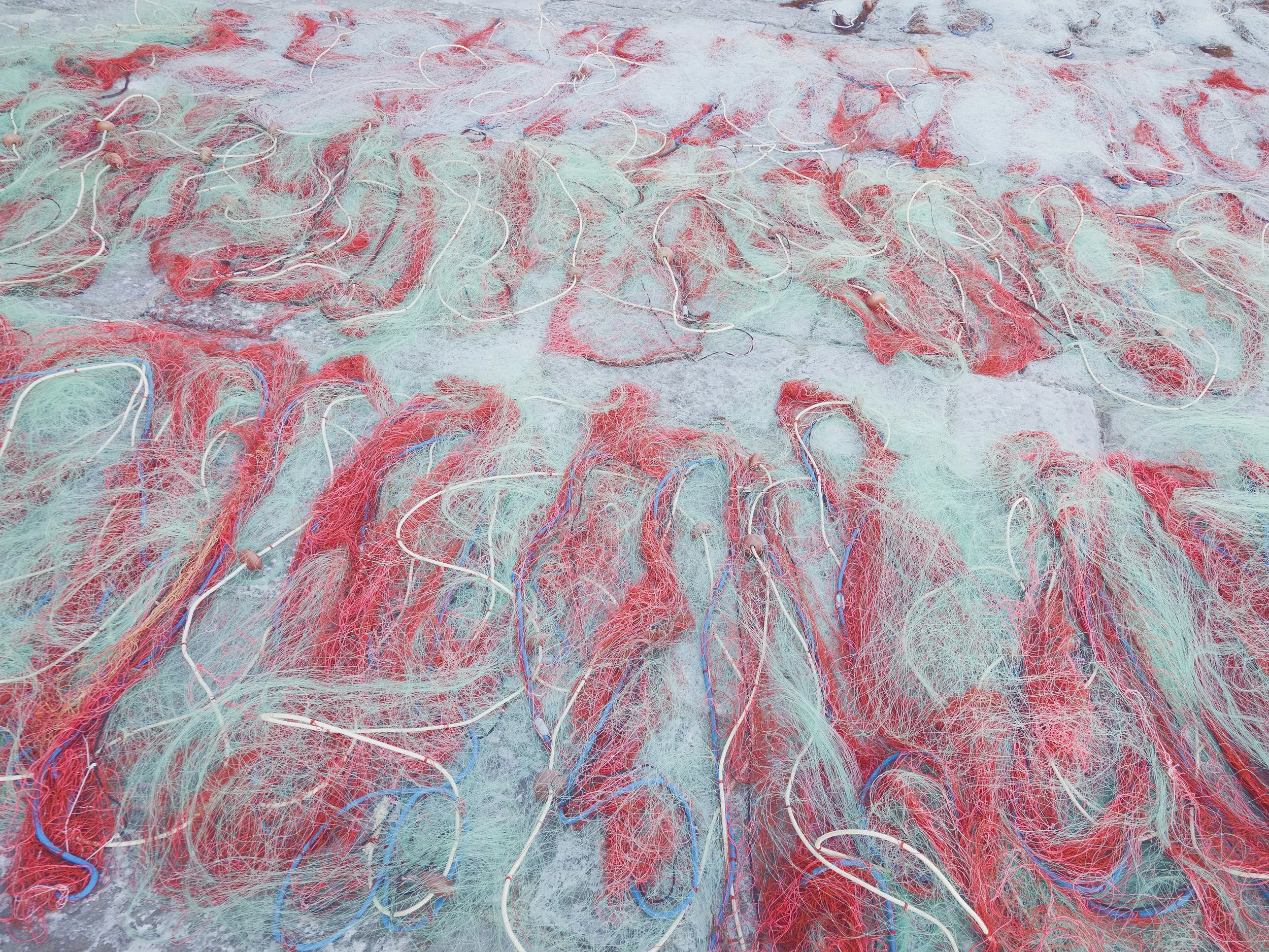 ANCHOVIES25.JPG