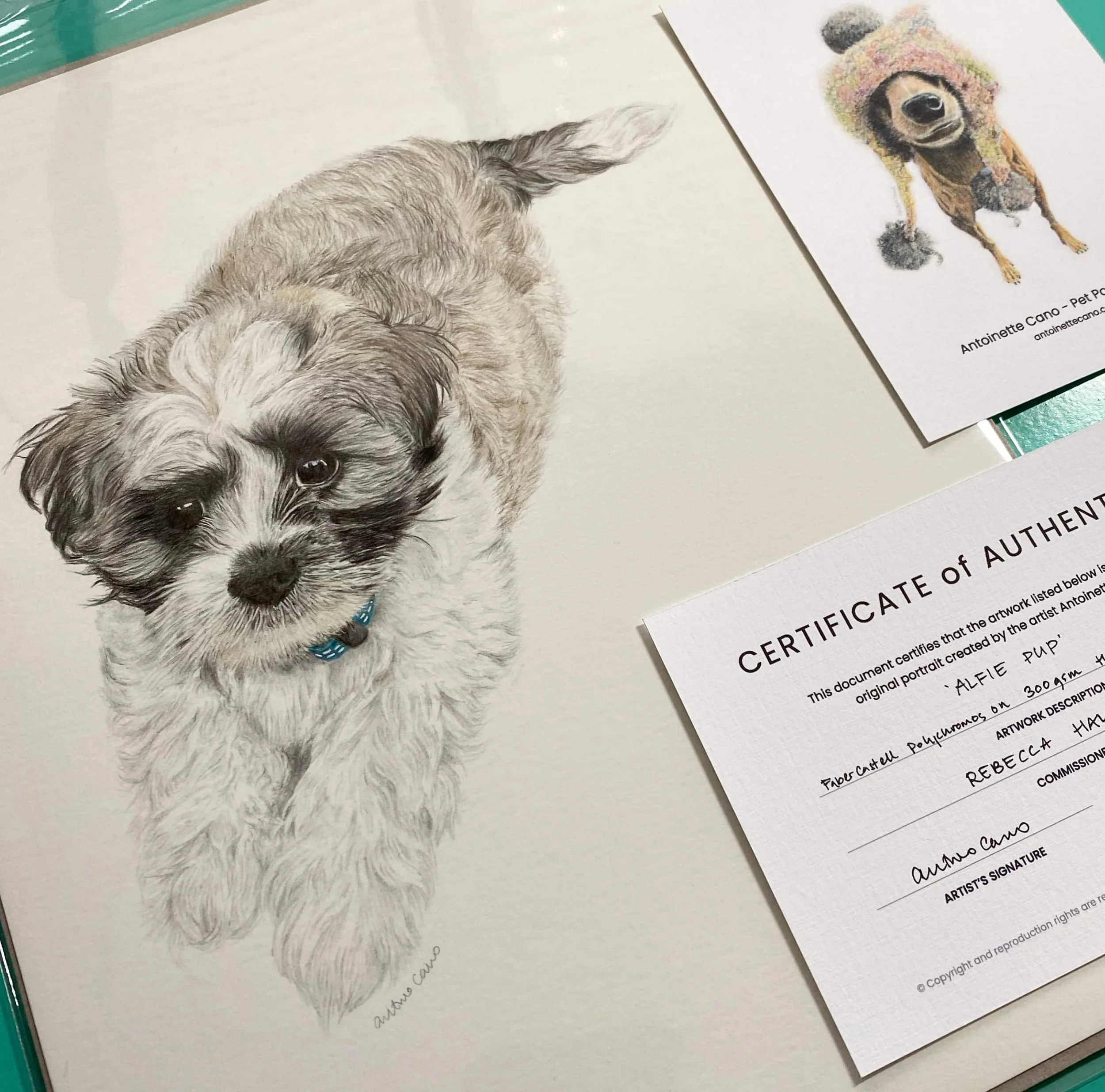 Alfie A5 Portrait THUMBNAIL.jpg