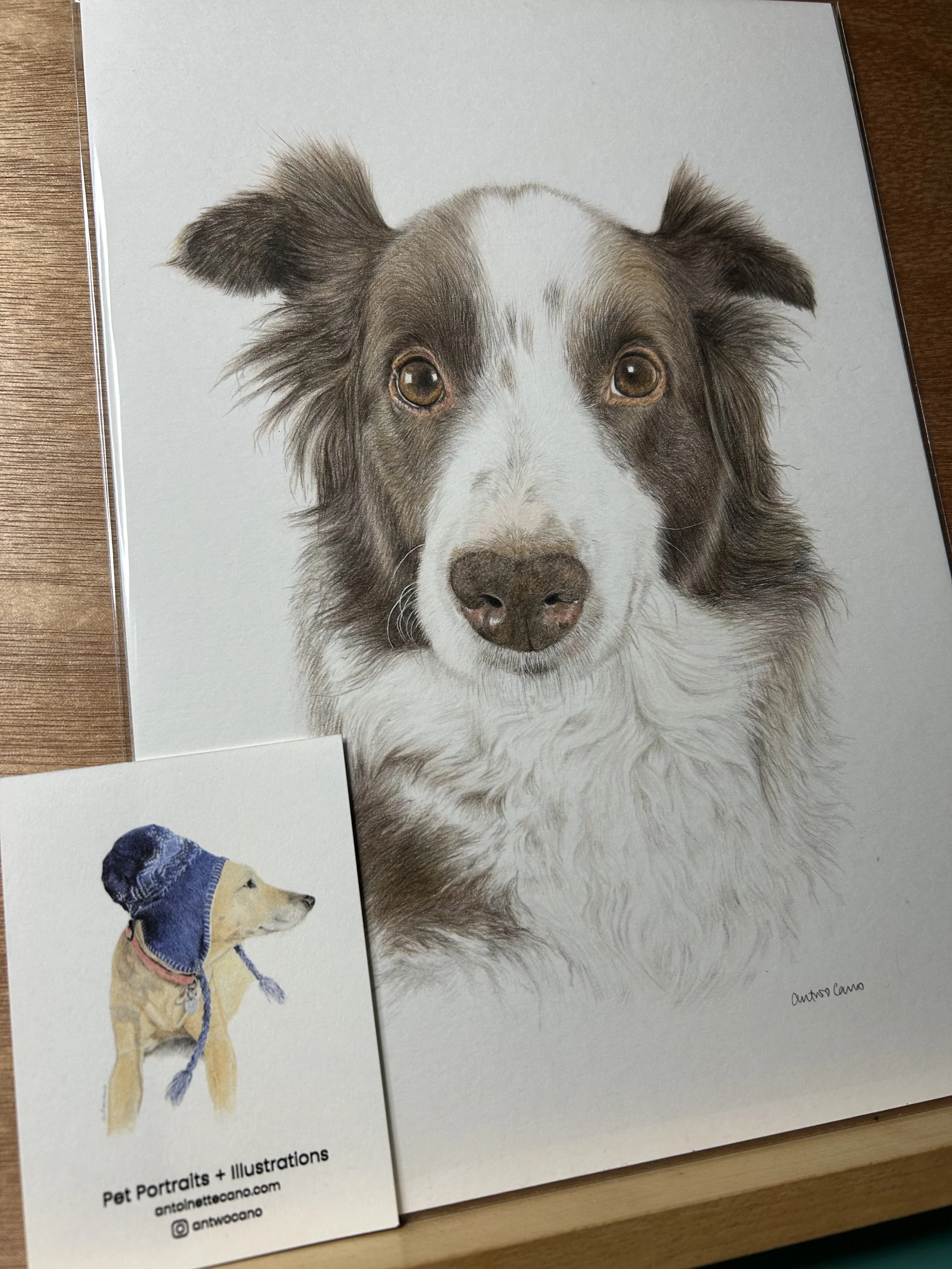 Custom Pet Portraits.jpg