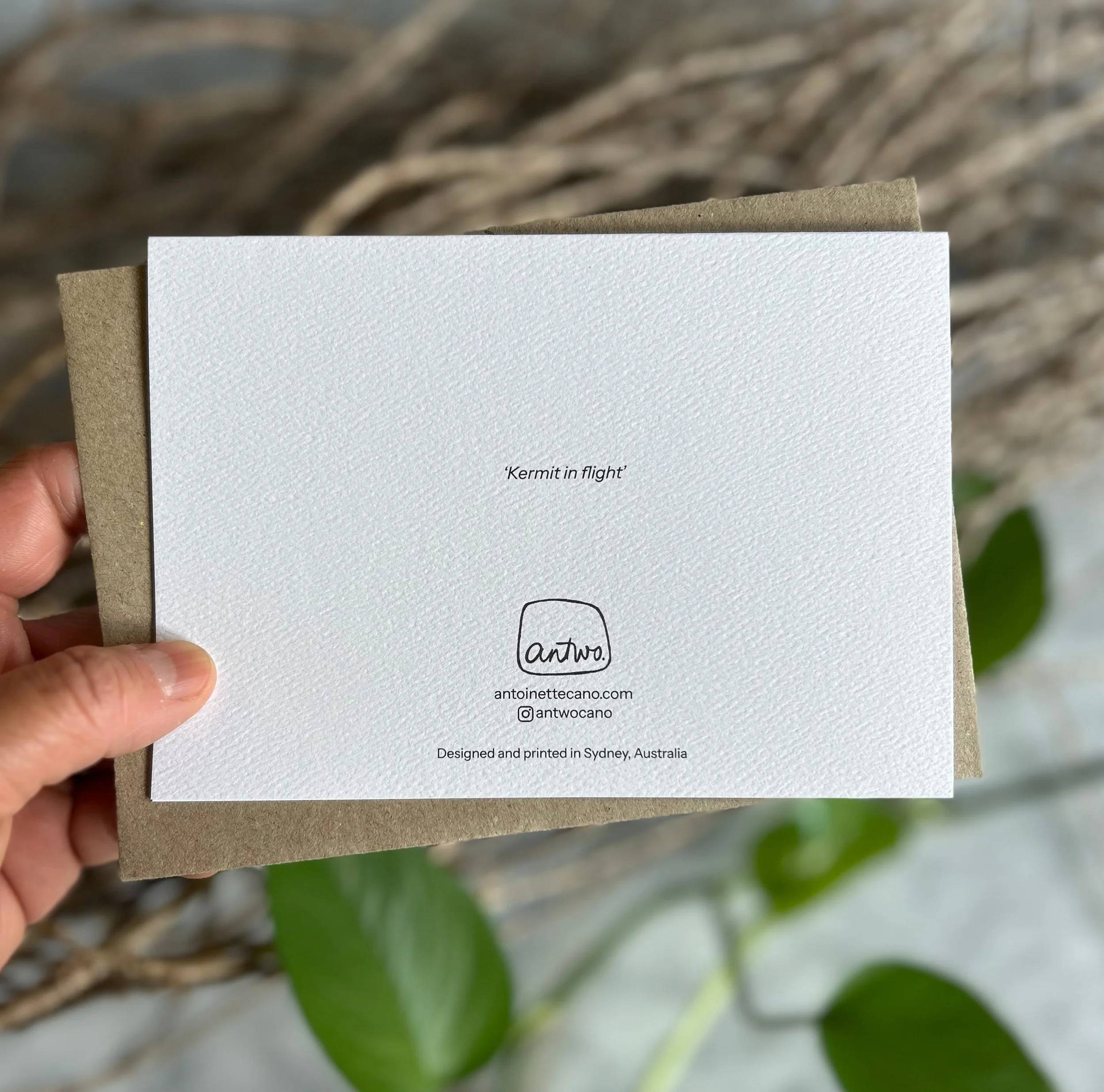 Kermit Flight_Back.jpg