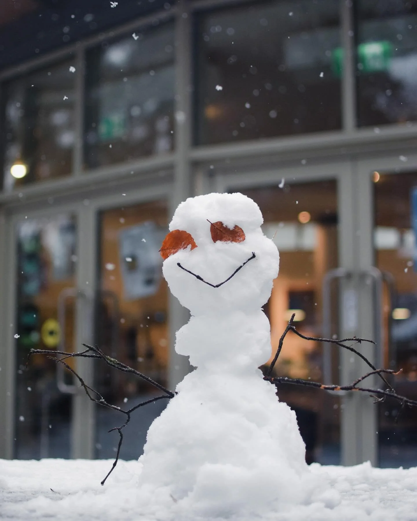 It's been a while since we've seen snow! ⛄️