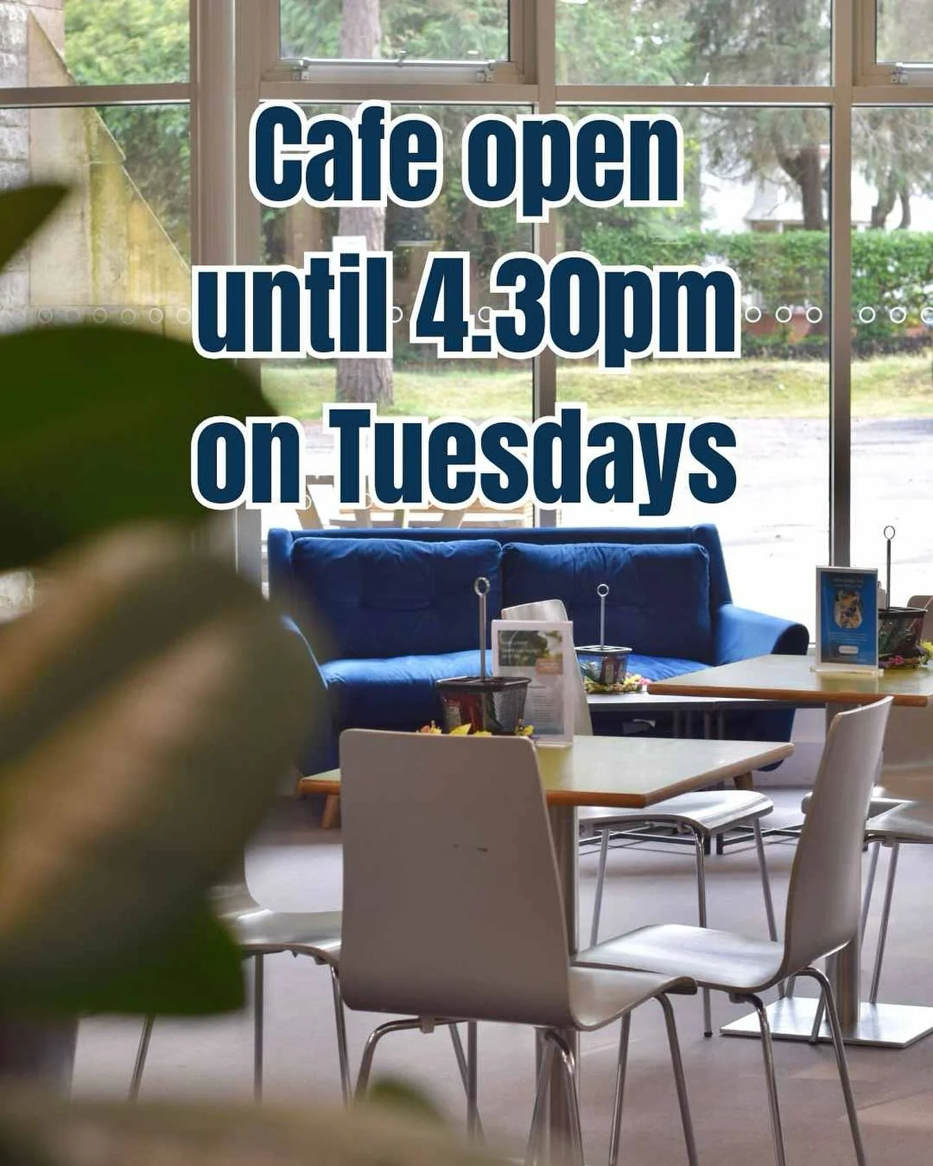 🍰☕️🍪🥤😁