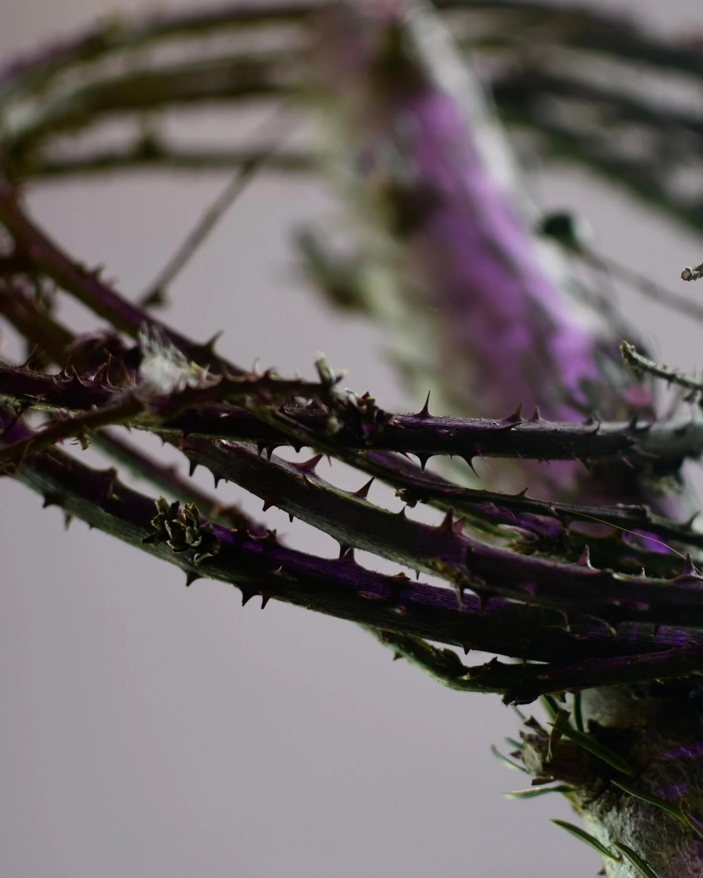 It was now about noon, and darkness came over the whole land until three in the afternoon, for the sun stopped shining. And the curtain of the temple was torn in two.  Jesus called out with a loud voice, &ldquo;Father, into your hands I commit my spi