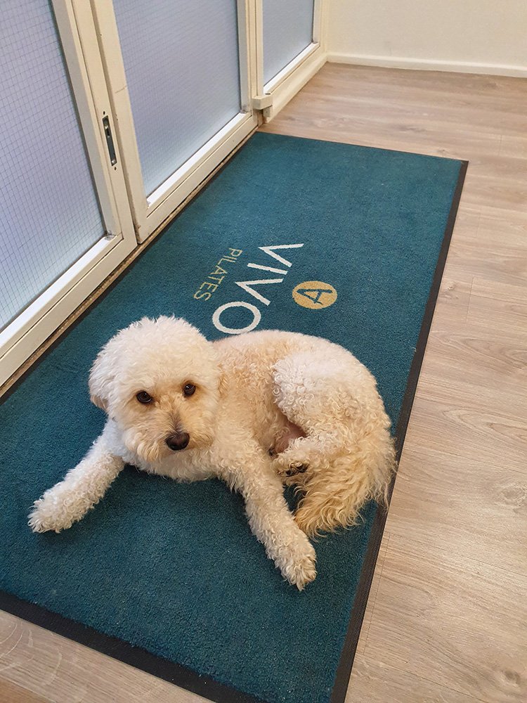 Vivo Pilates Simba Floormat.jpg
