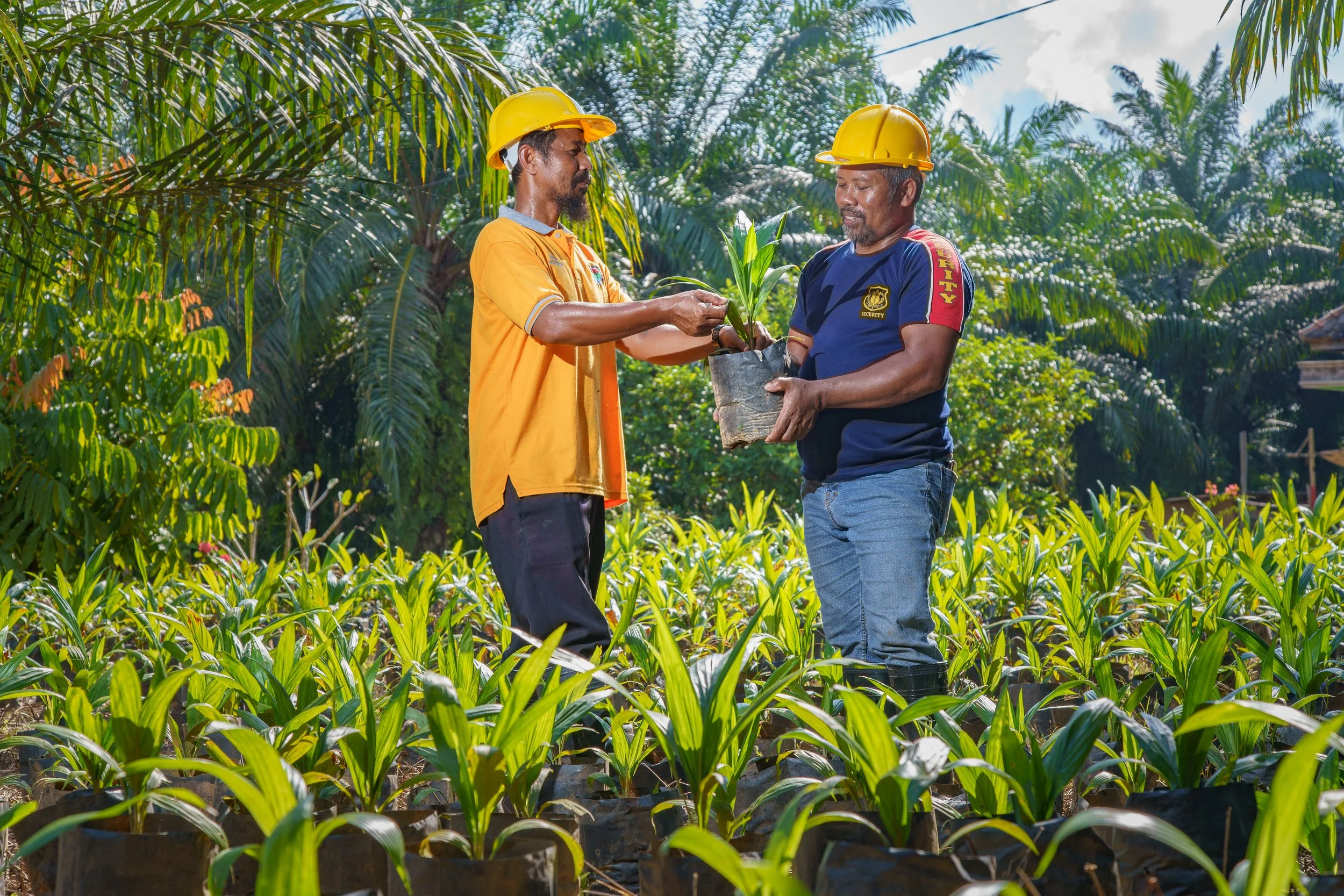 Connecting People, Nature and Supply Chains in Indonesia: Progress from Year 4 of the Mosaik Initiative
