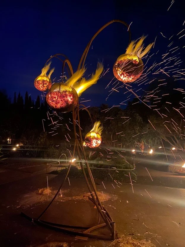 Hub Goes to: Fire Gardens at Illuminate Adelaide