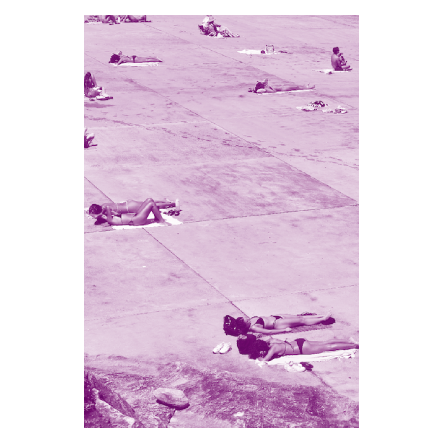 Magenta Sol.png