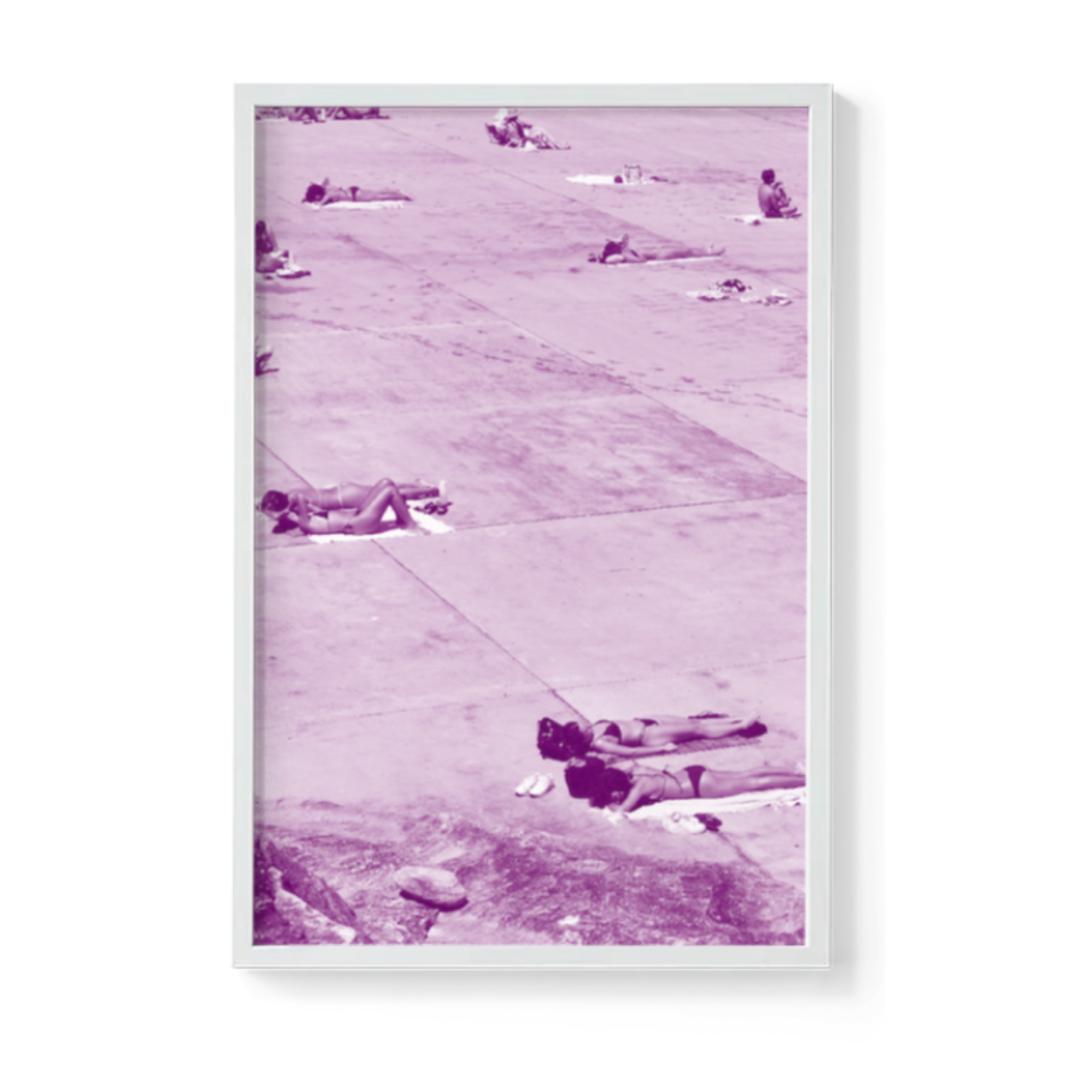 Magenta Sol - White frame no border.png