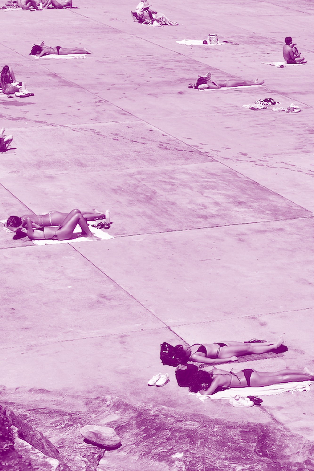 MAGENTA+SOL+02.jpg