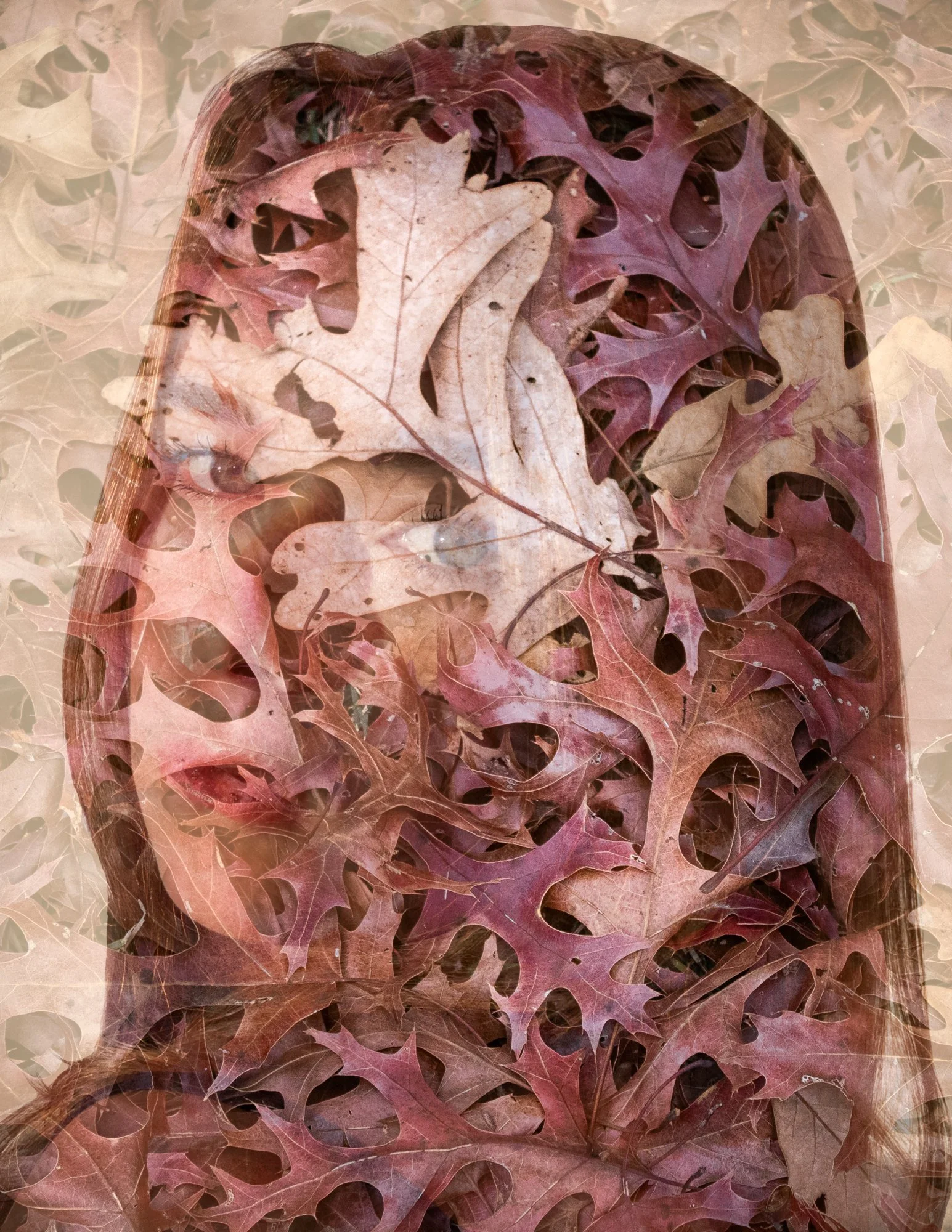 Competition Red - Harper Ewing