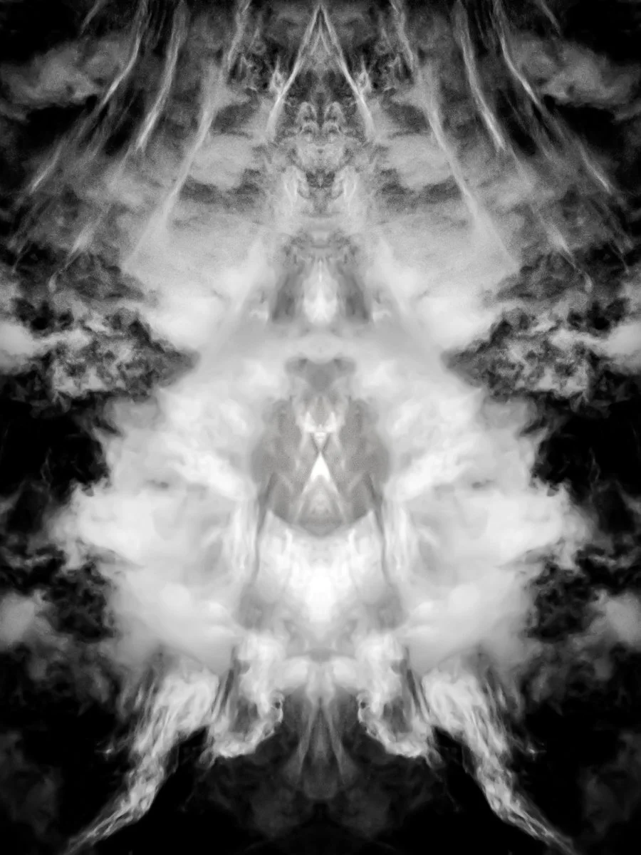 The Harbinger - Fran DeRespinis