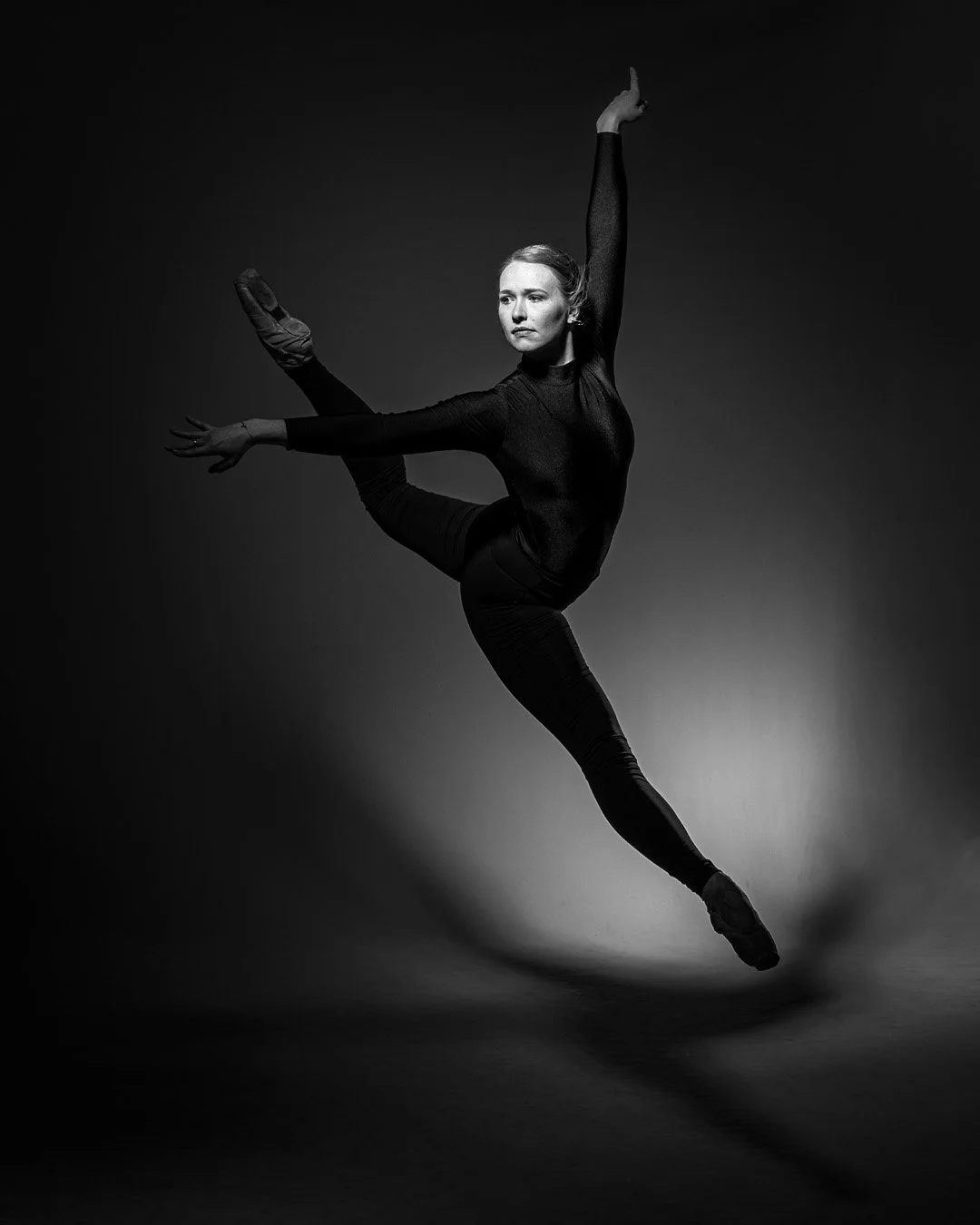 Elegant - Brooke Meyer