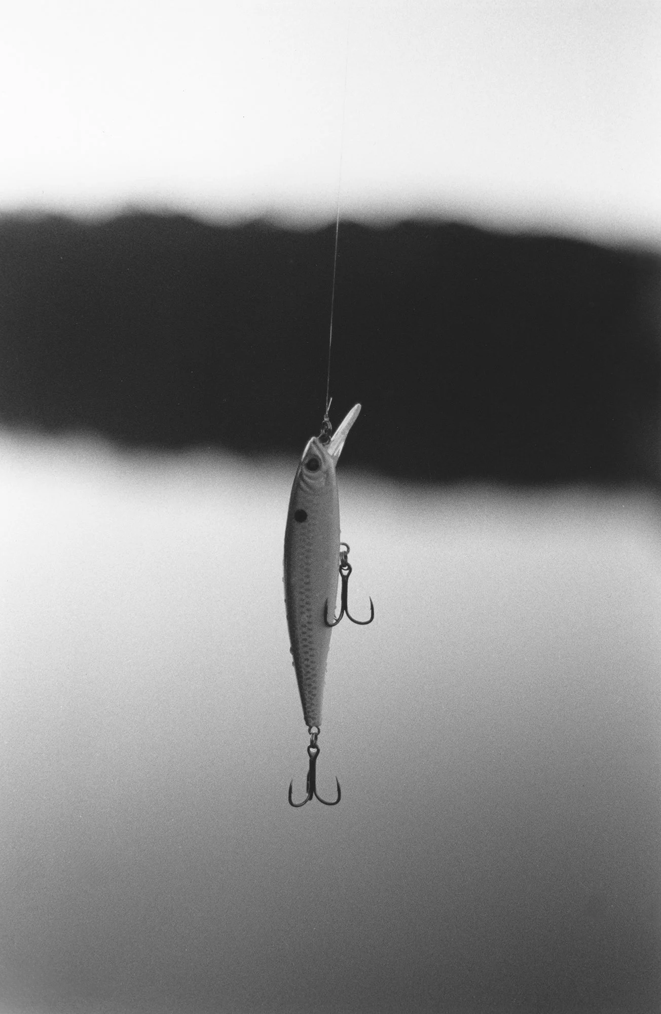 Fishing Lure - Geensia Xiong