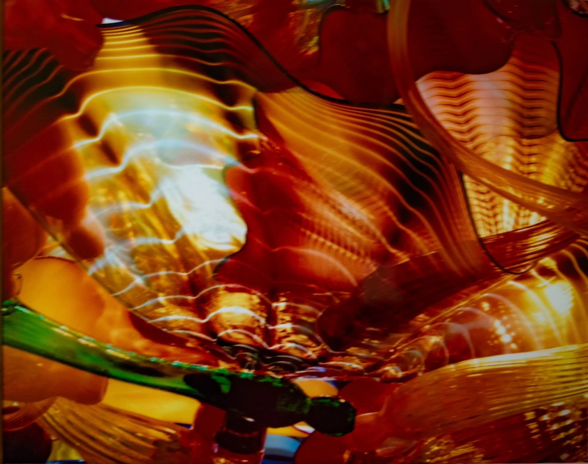 Butterfly - Jack Leavell