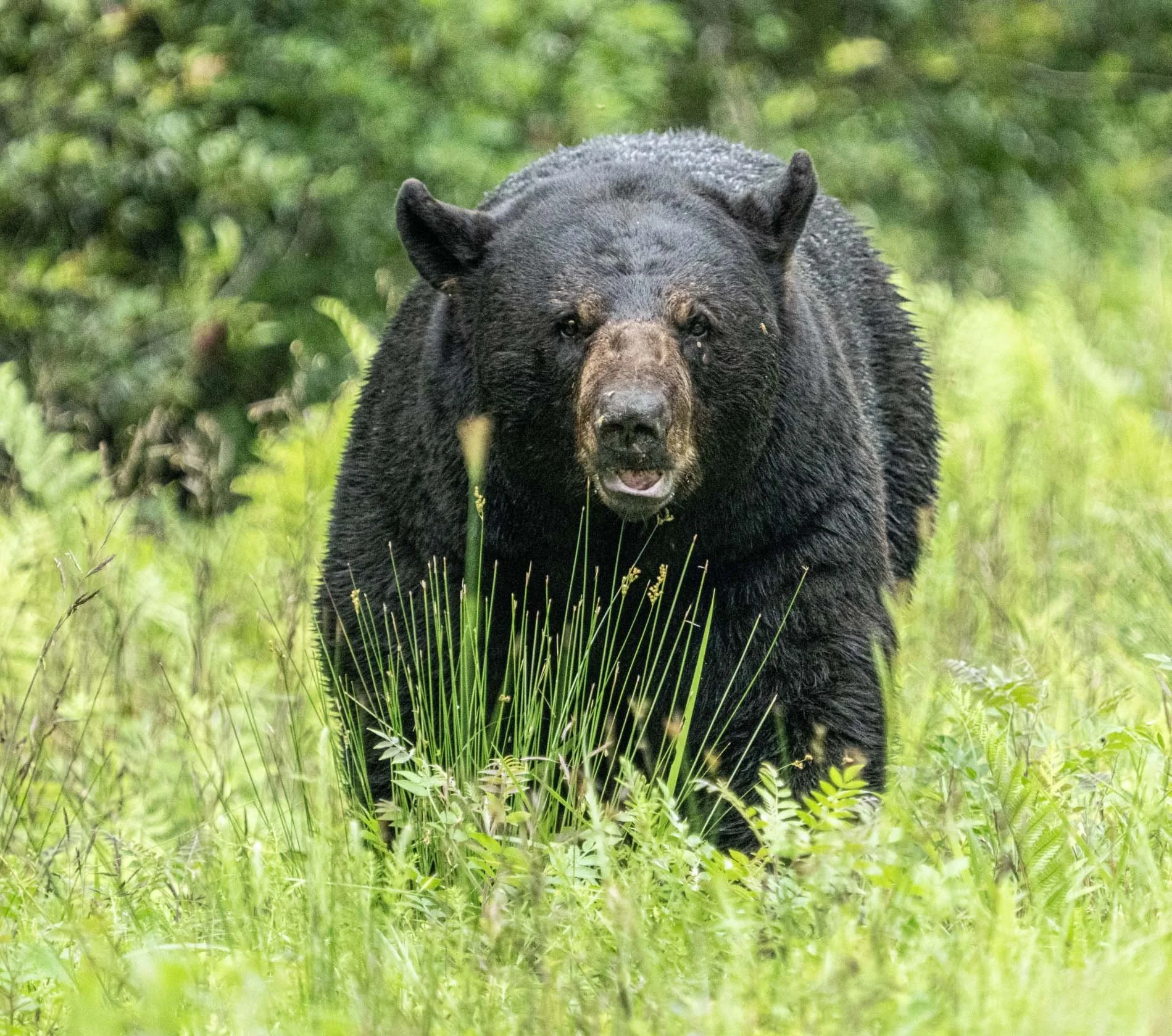 Our Close Encounter - Jim Jilson