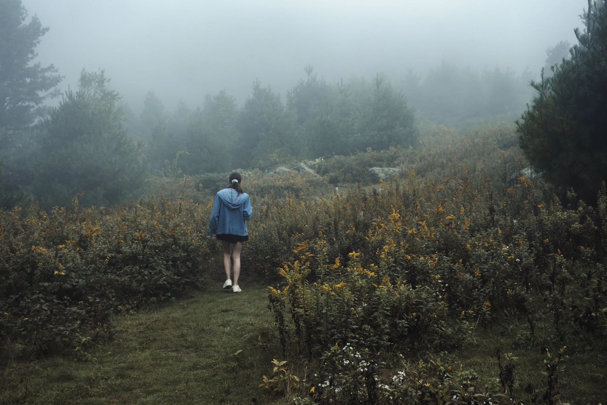 Beauty in the Unknown - Jaxon Sperti