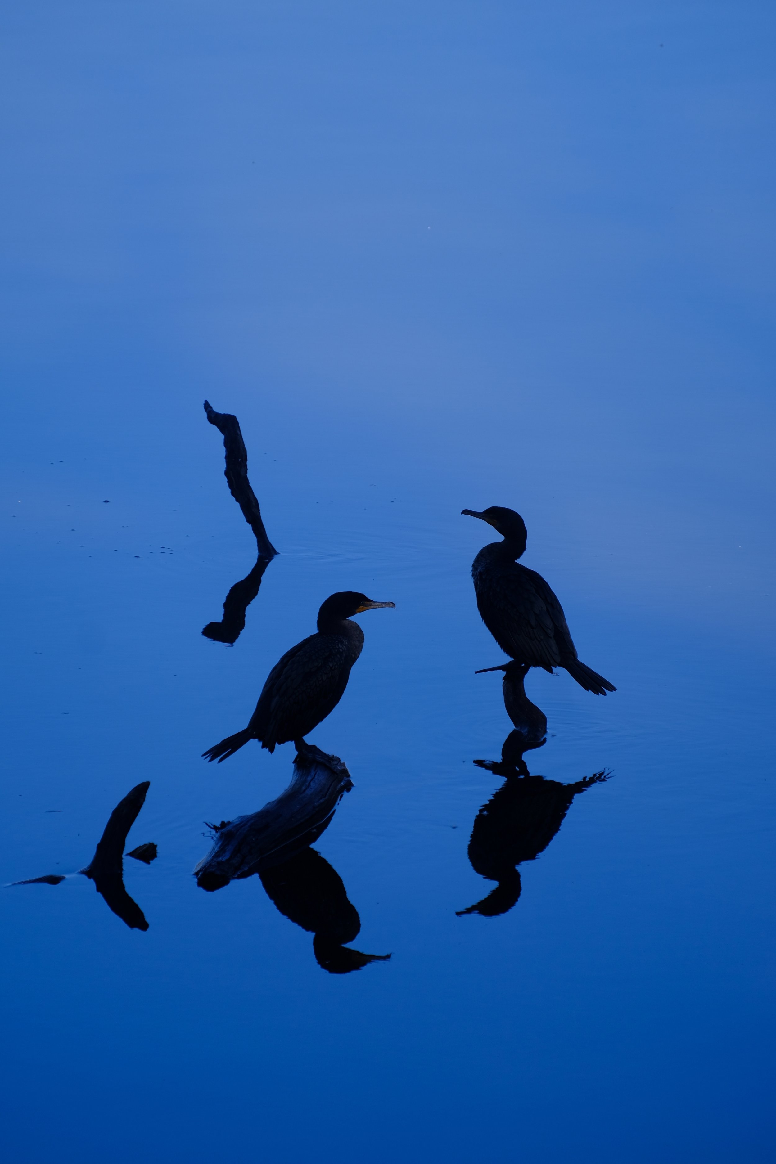 Early Morning at Bond Lake - Phillipe Courtay