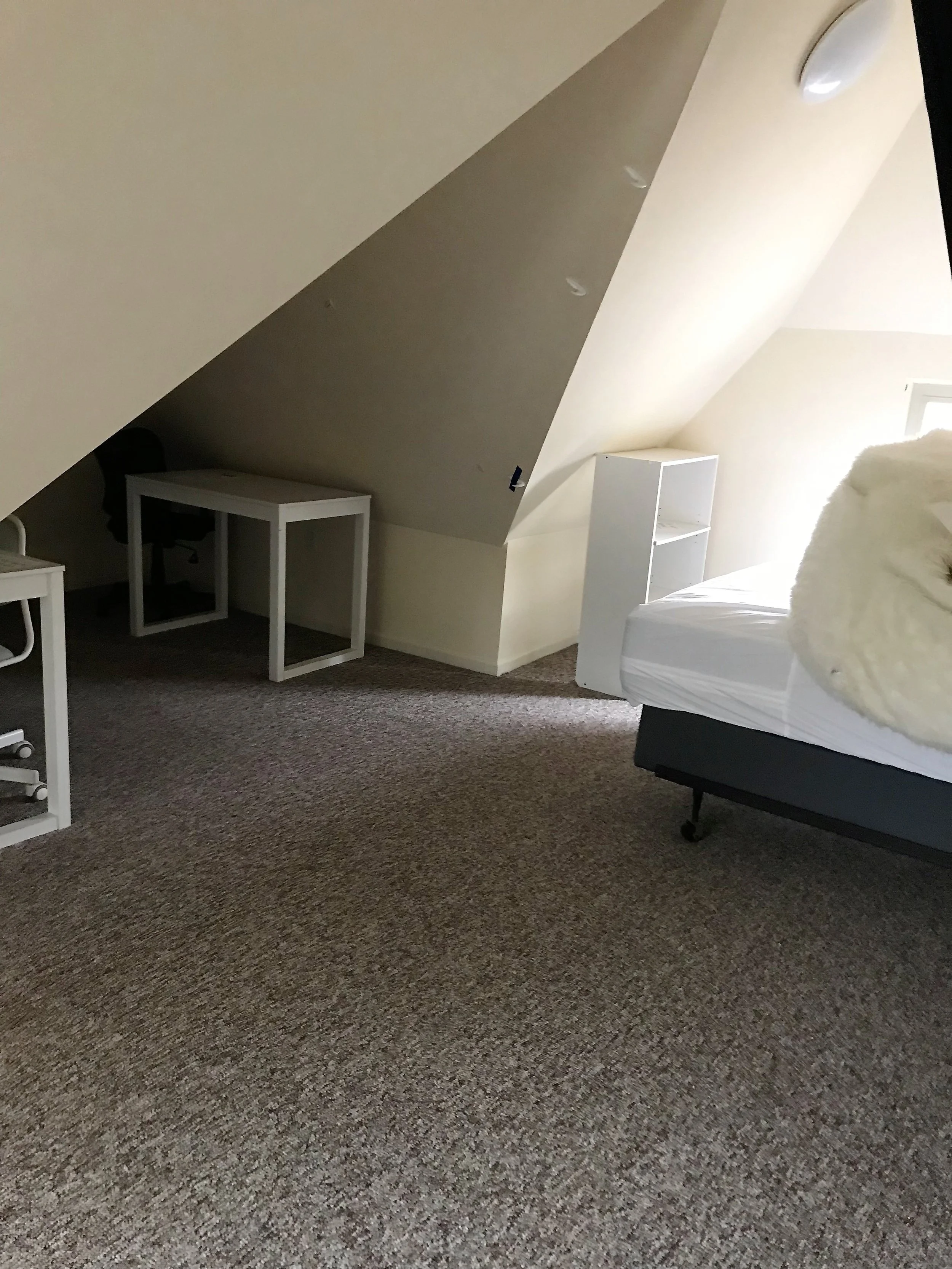 841 Oakland #2 bedroom #4 (1).jpg