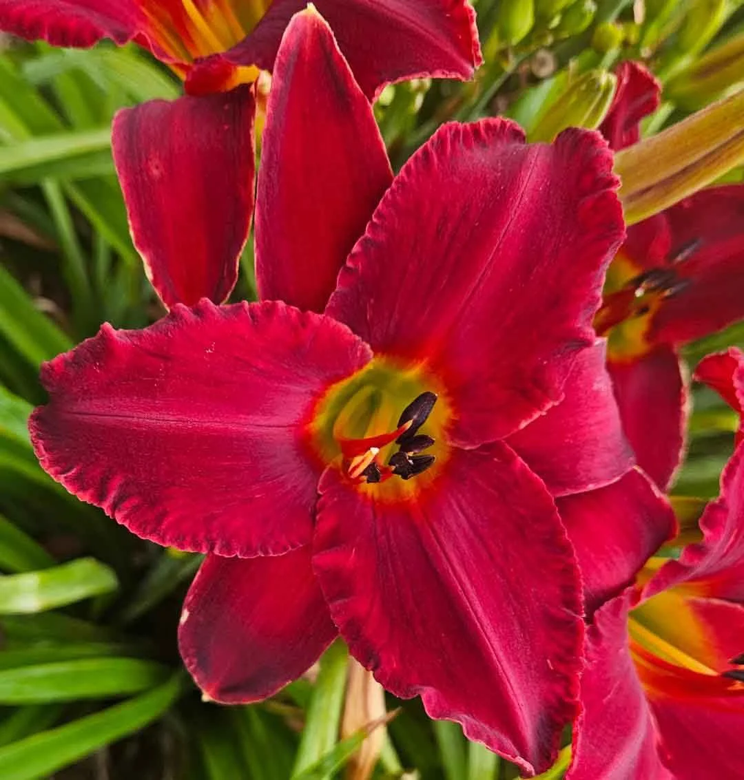 Keep me in your Heart.jpg