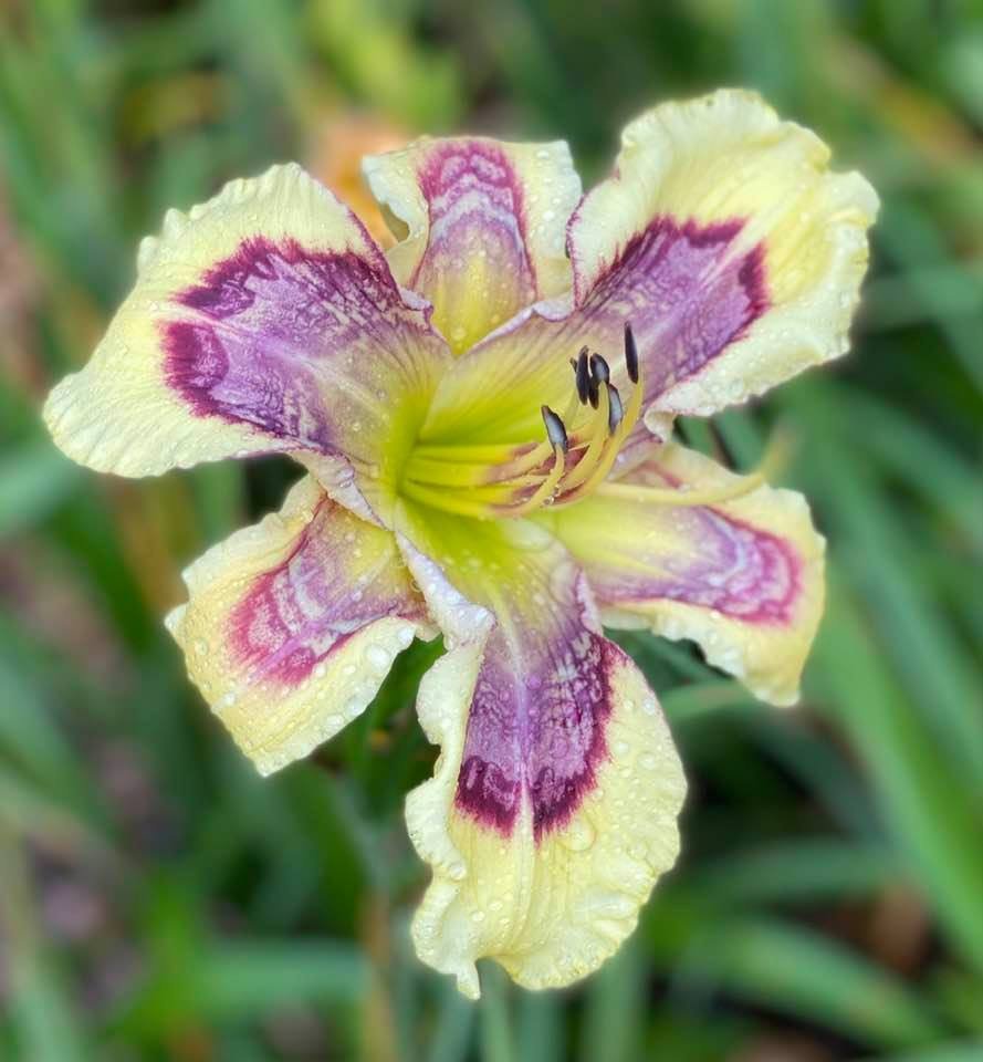 The Infiinite Present Moment.jpg