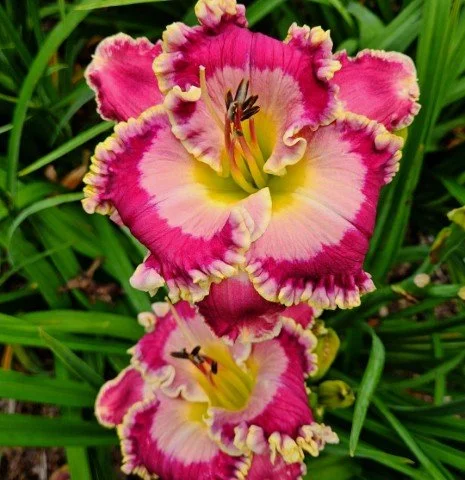 These are the Good Old Days(Small).jpg