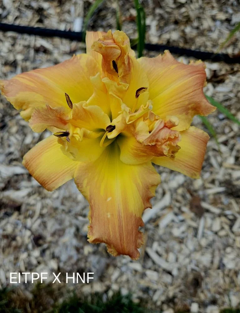 I Was So Much Older Then 2.jpg