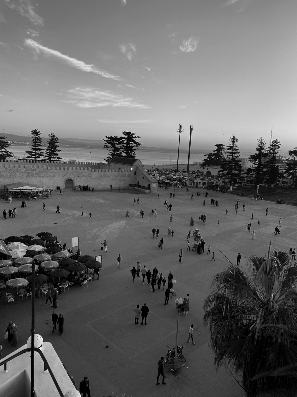 Screen Shot 2022-01-18 at 2.52.36 PM.png