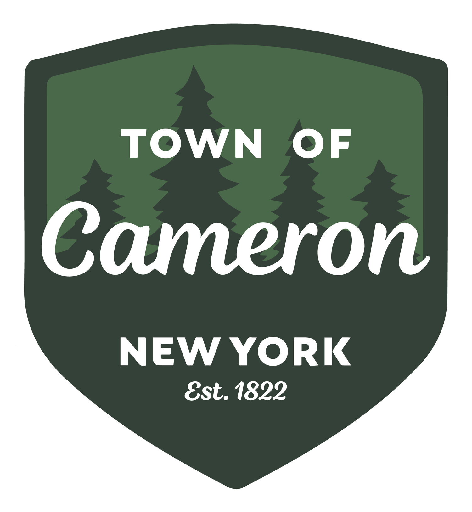 Town of Cameron, NY
