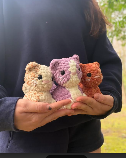 Screenshot 2026-02-19 121859.png