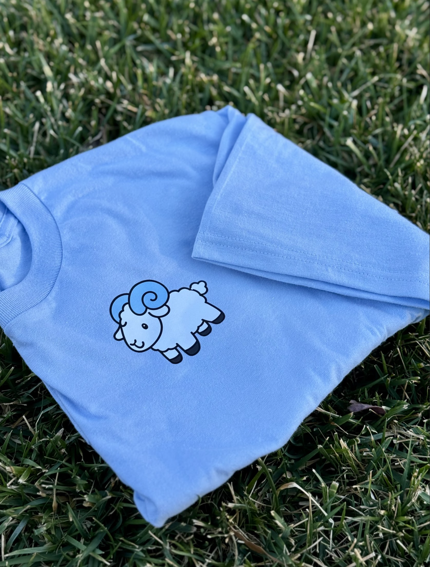 Screenshot 2026-01-04 at 11.16.54 AM.png