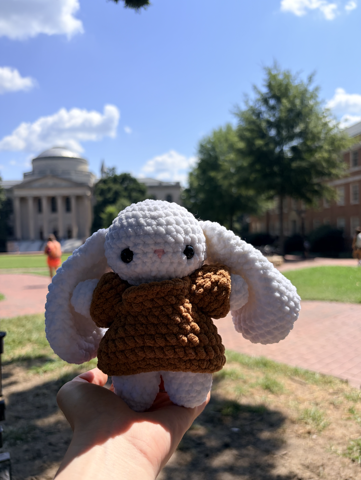 Crochet Sweater Bunny