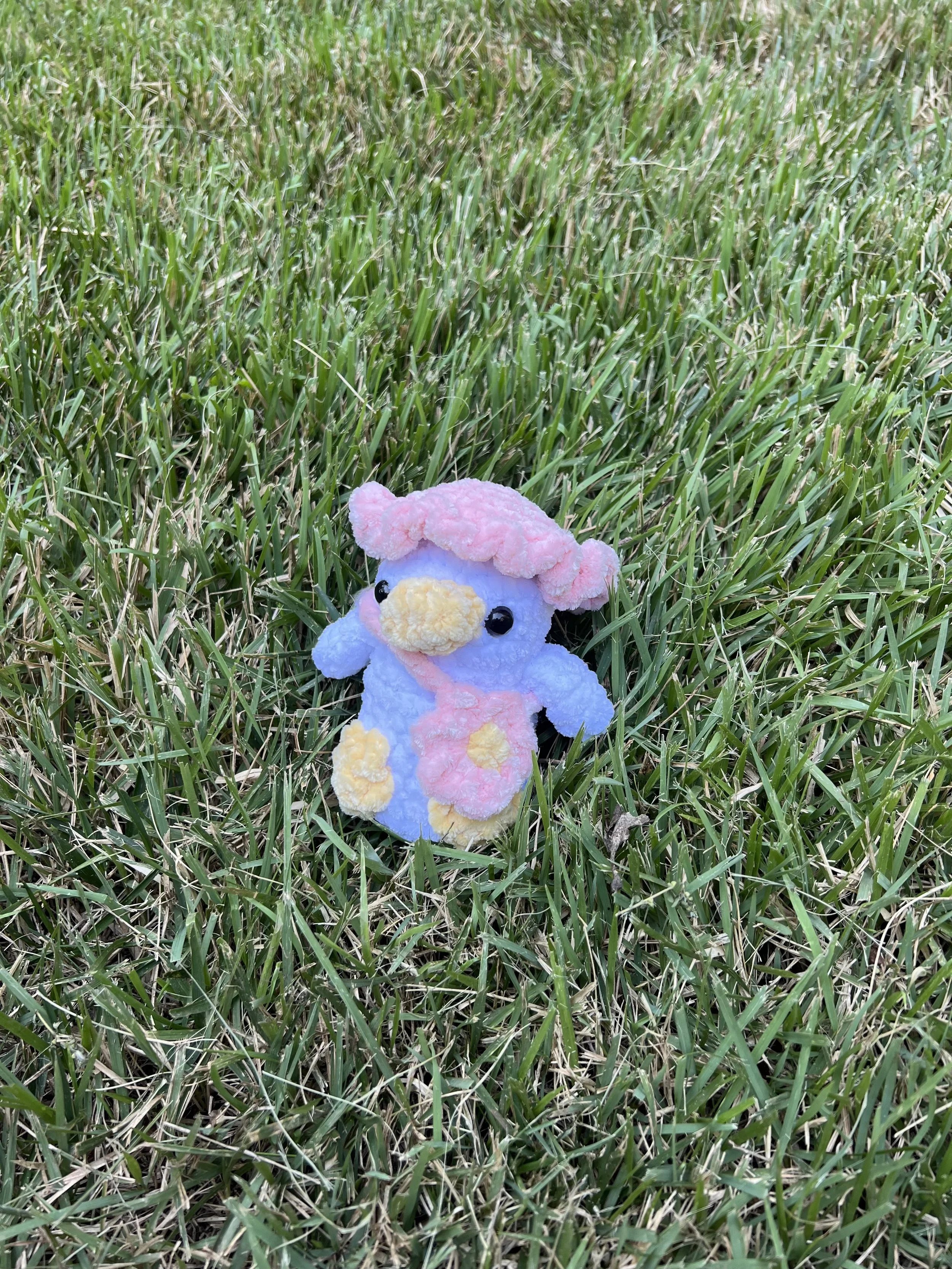 QuackersDuckPic1.jpg