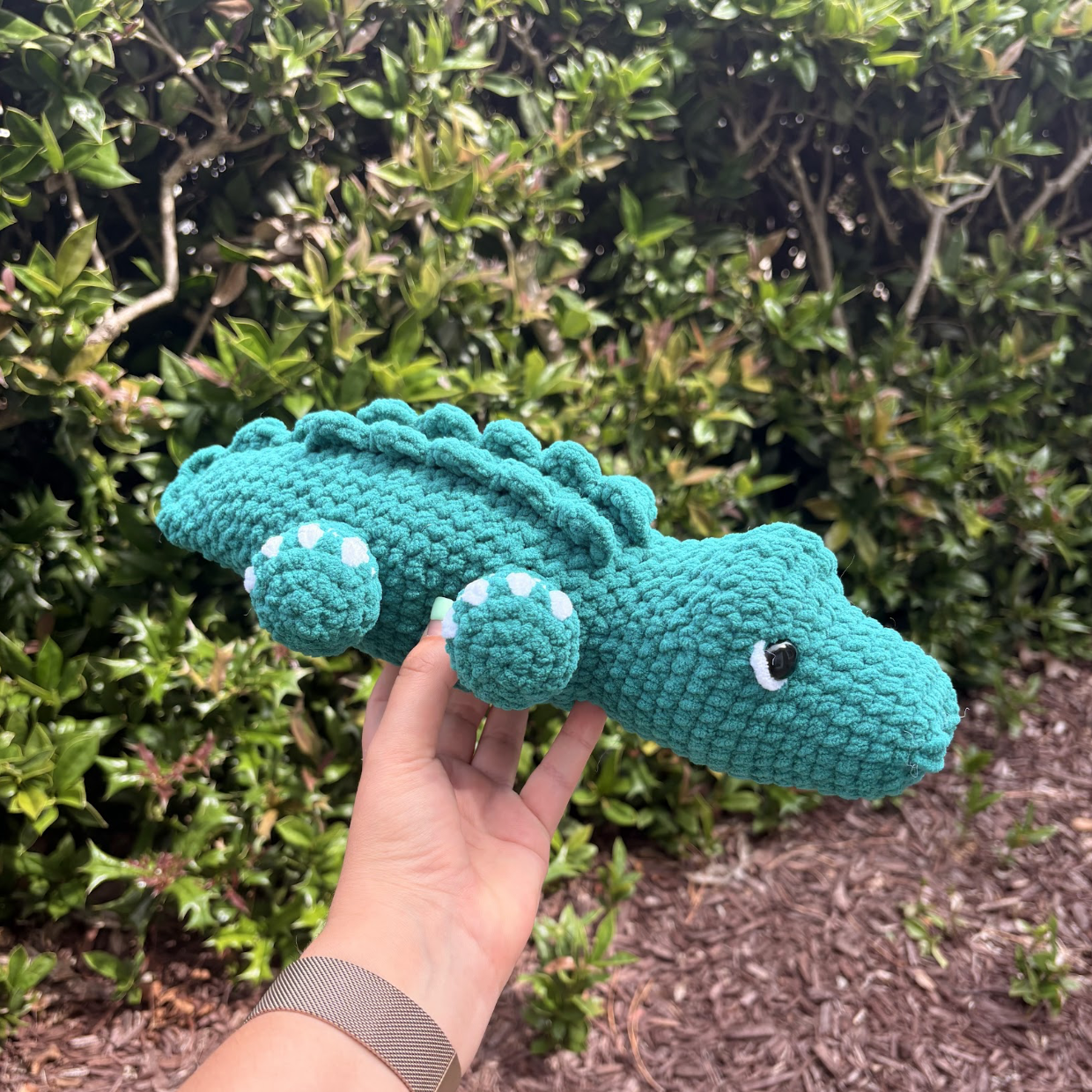 Ace the Alligator