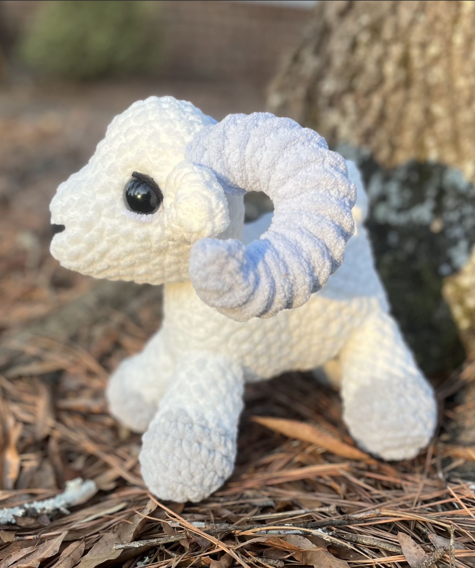 Screenshot 2026-01-05 at 9.48.19 AM.png