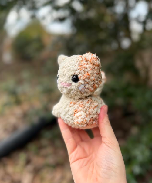 Screenshot 2026-02-19 121908.png