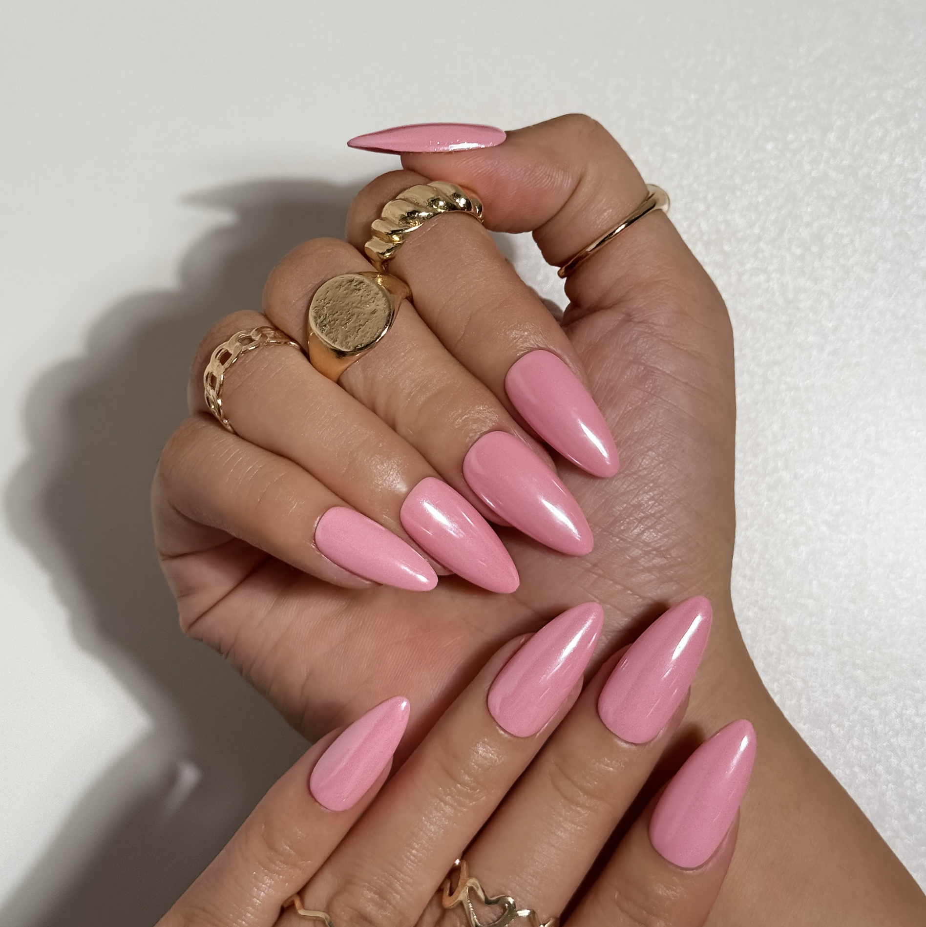 Screenshot 2026-02-19 at 9.08.01 AM.png