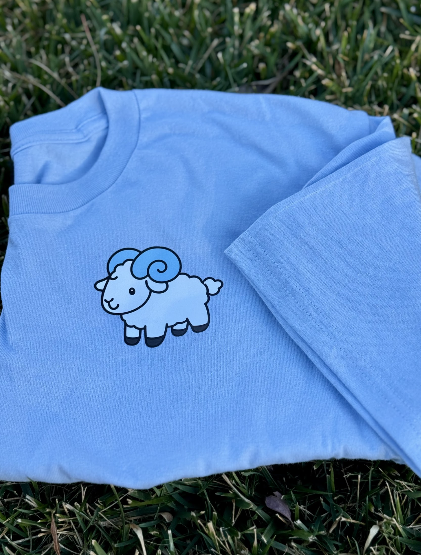 Screenshot 2026-01-04 at 11.17.00 AM.png