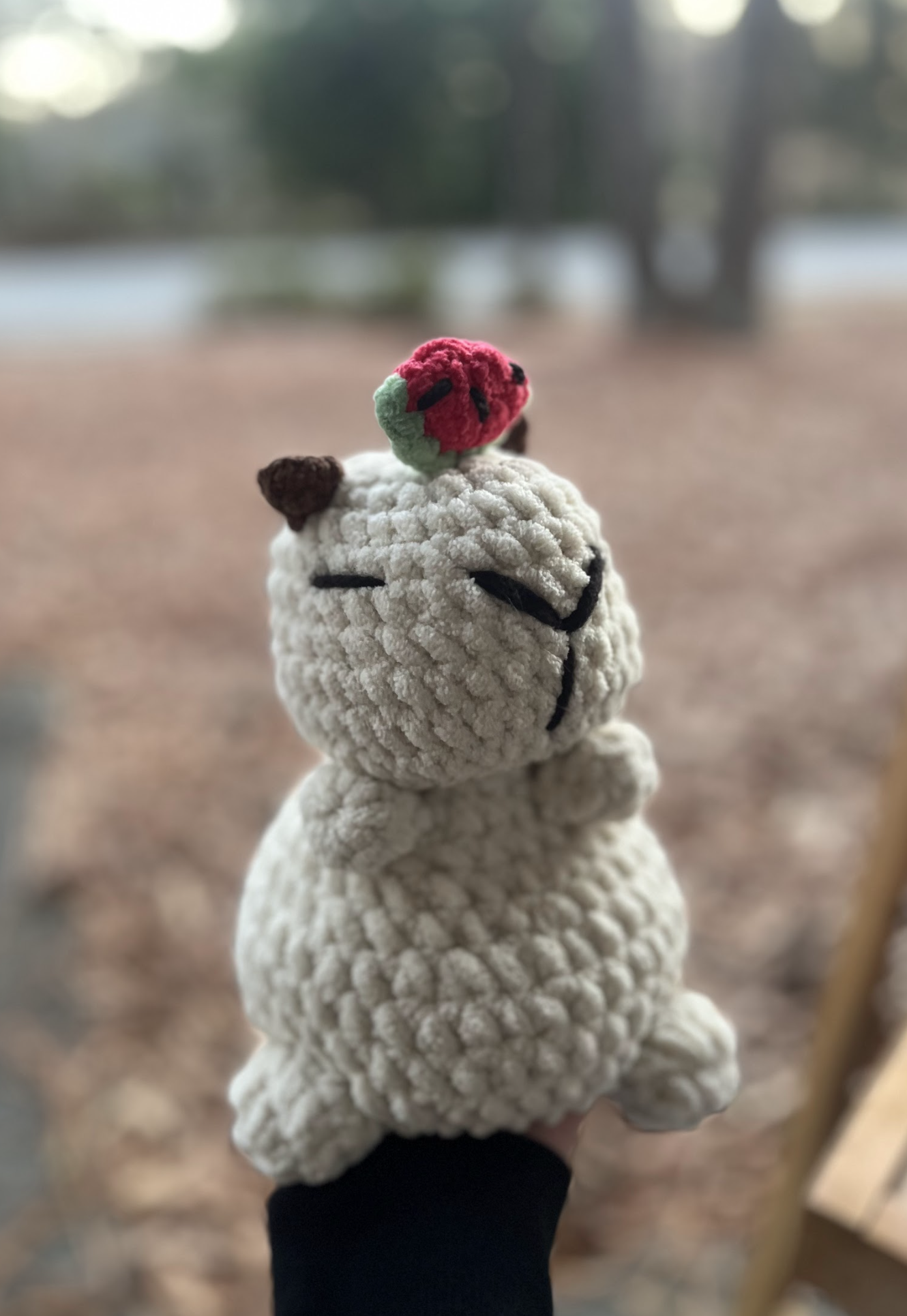 Screenshot 2026-01-05 at 9.50.28 AM.png