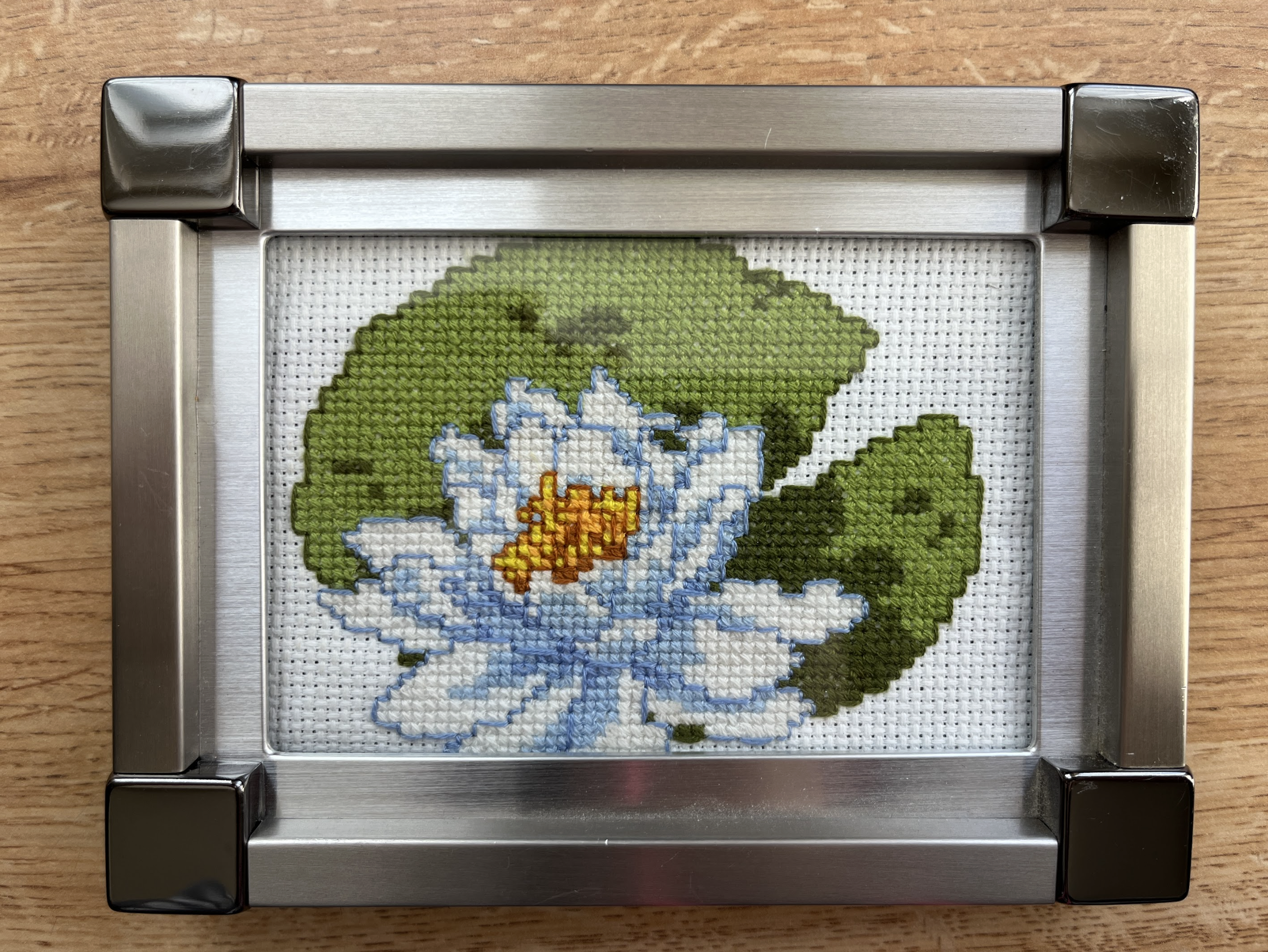 Screenshot 2026-02-03 at 11.02.54 AM.png