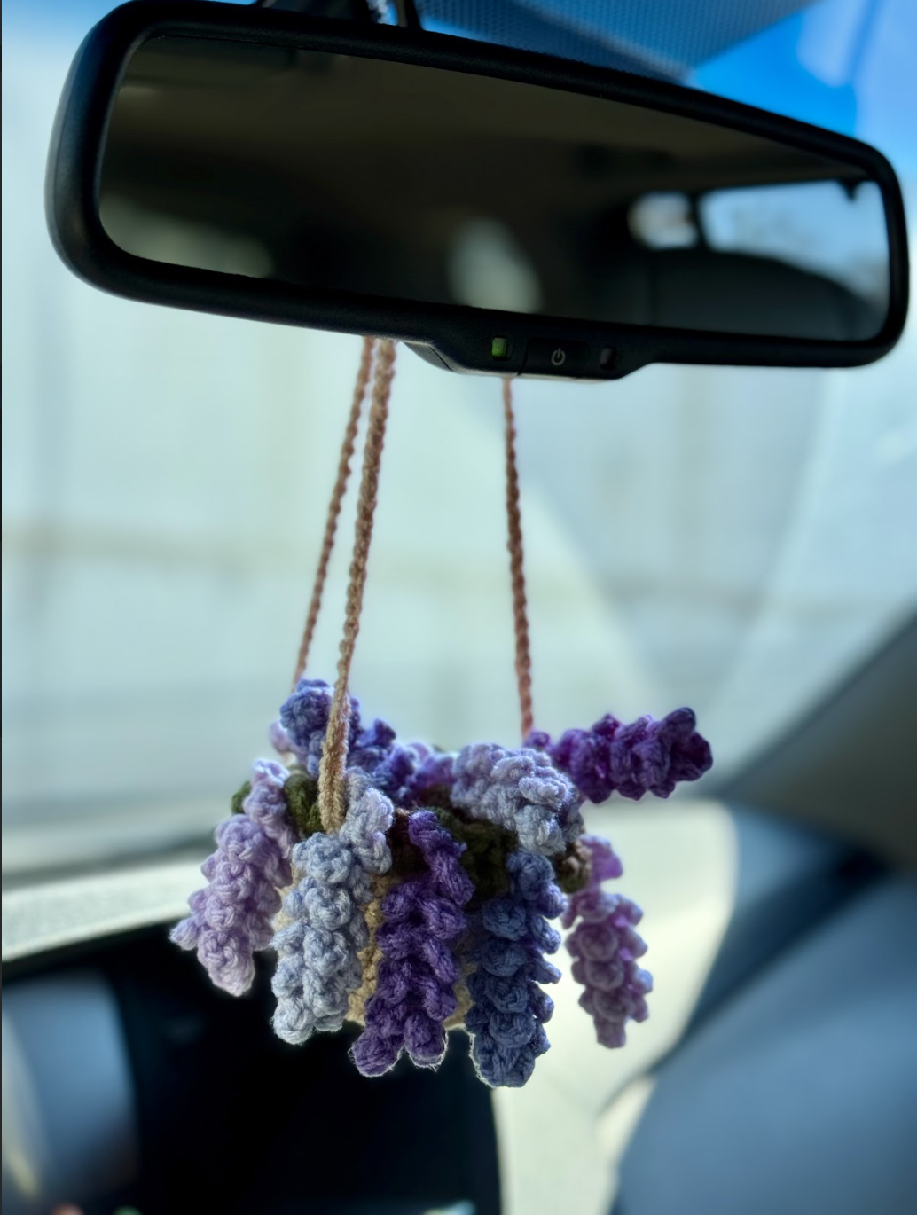 Lavender Hanging Plant