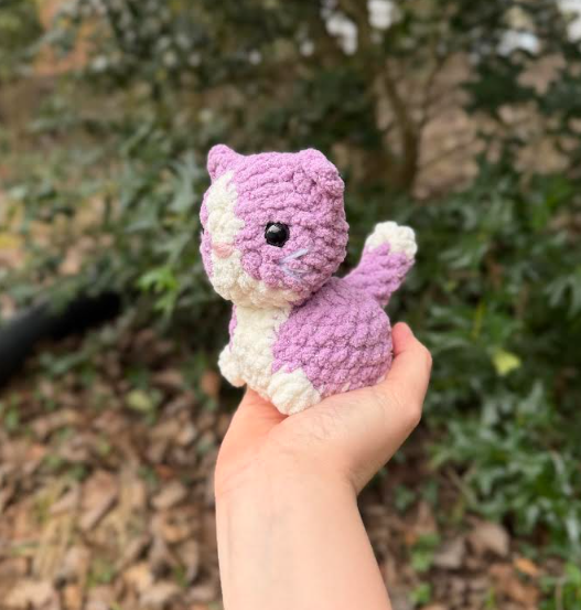 Screenshot 2026-02-19 121918.png