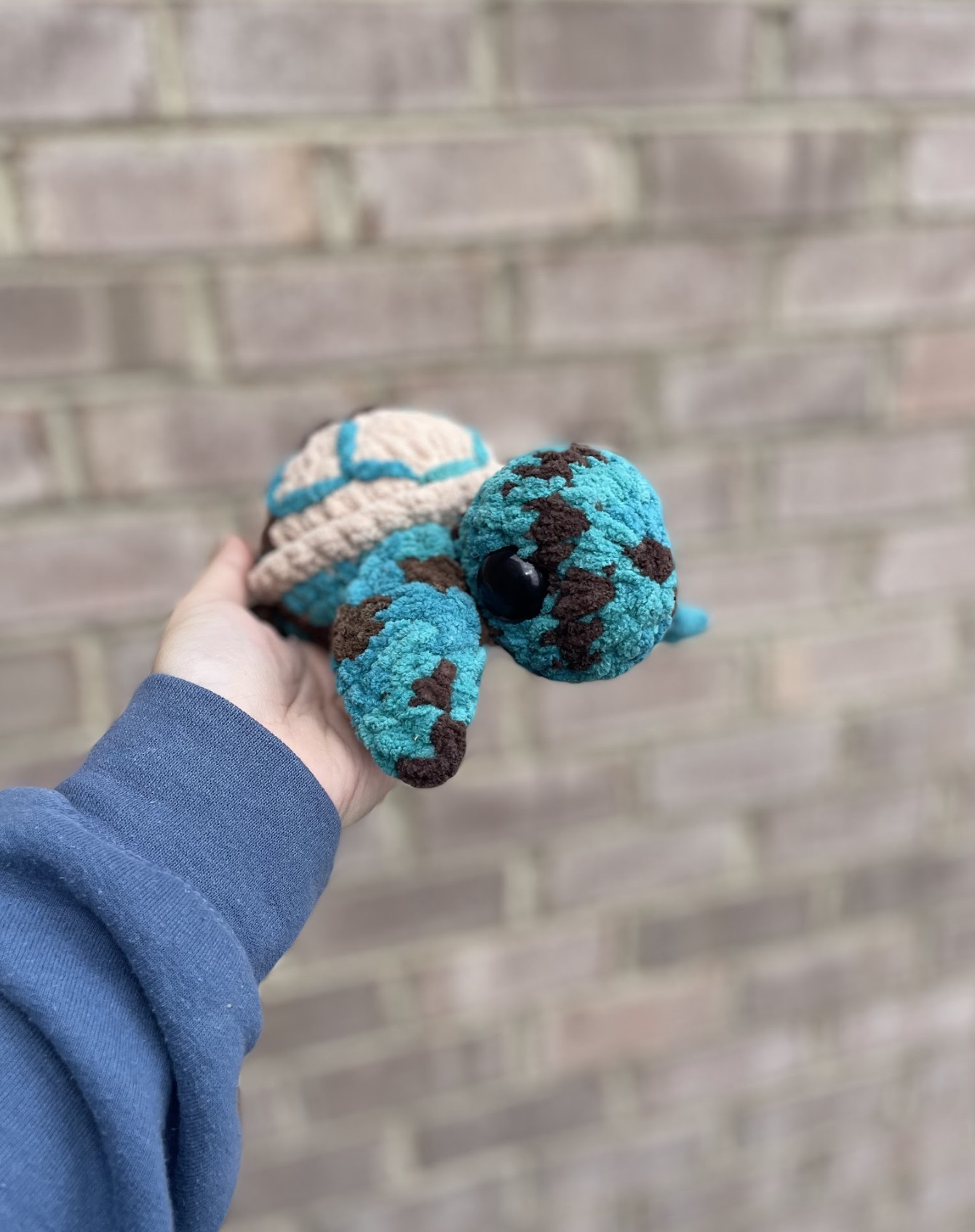 Suki the Baby Sea Turtle