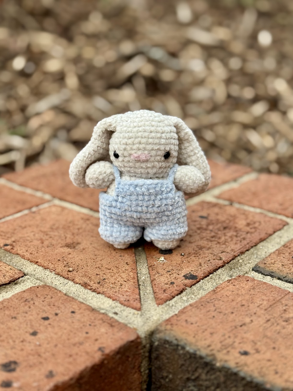 Screenshot 2026-02-04 at 11.13.58 AM.png