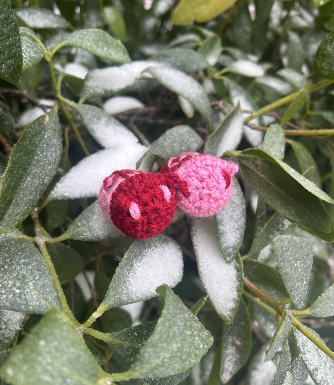 Screenshot 2026-02-03 at 11.08.39 AM.png