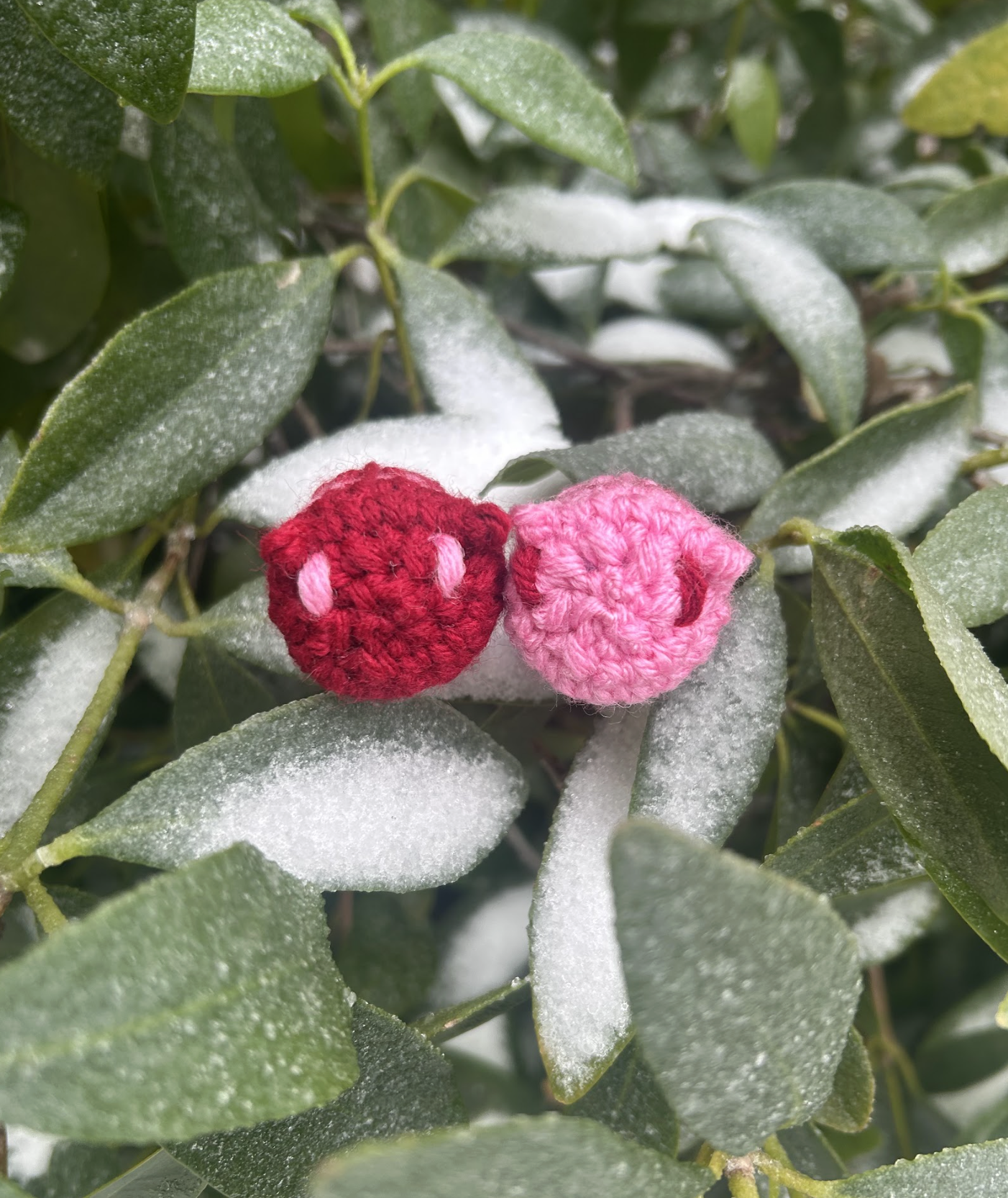 Screenshot 2026-02-03 at 11.08.34 AM.png