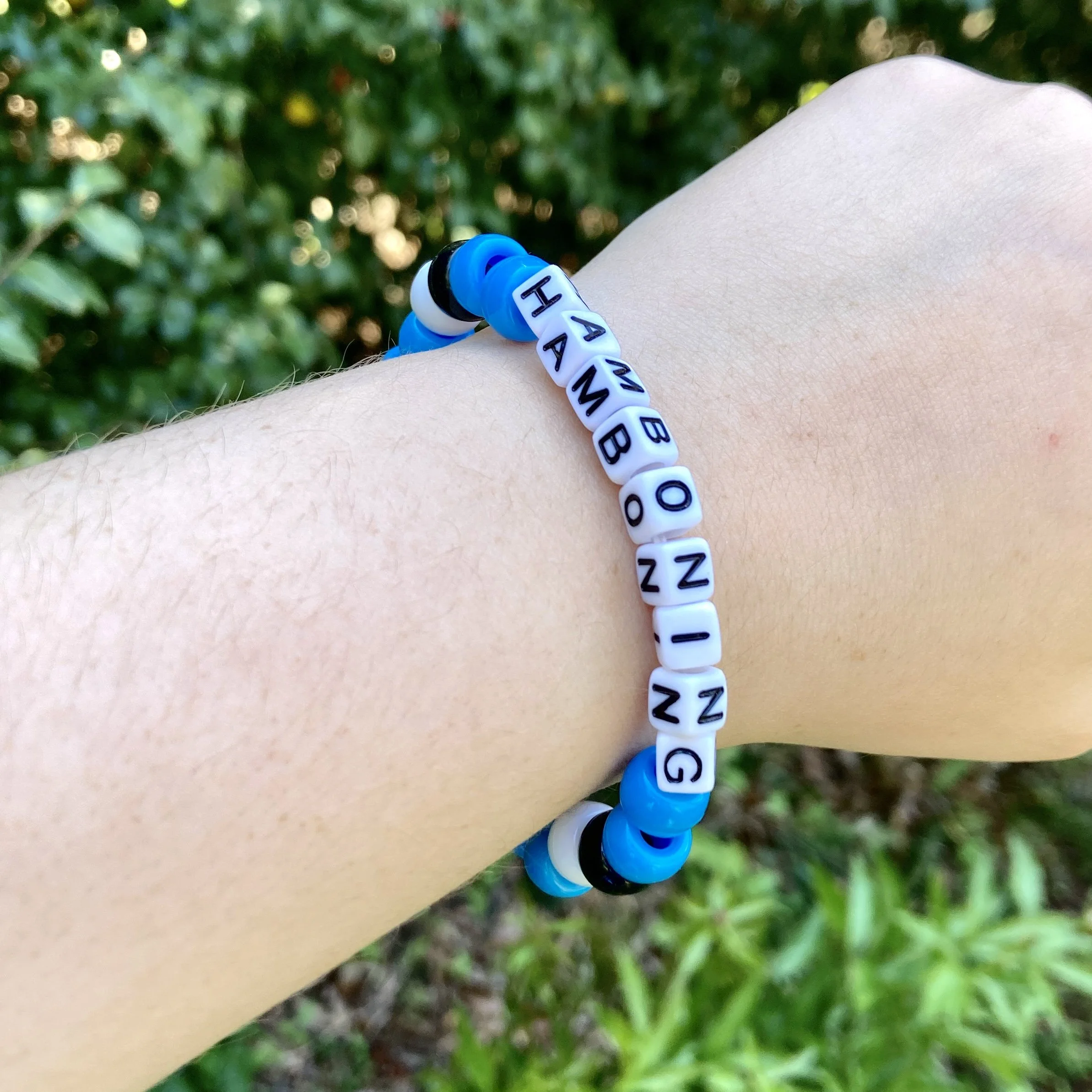Regular_Friendship_Bracelets_BlueJay_1.JPG