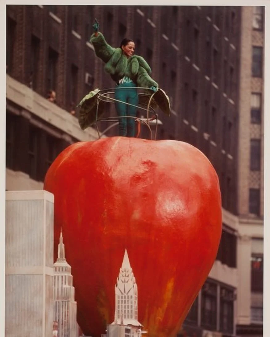 Seasons greetings dump ❤️✌🏻 Wishing you all love peace and happiness